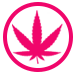 Cannabis licenses in Colombia